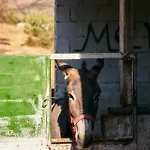 παραδοσιακός πέτρινος σε φάρμα Fallika