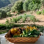 παραδοσιακός πέτρινος σε φάρμα