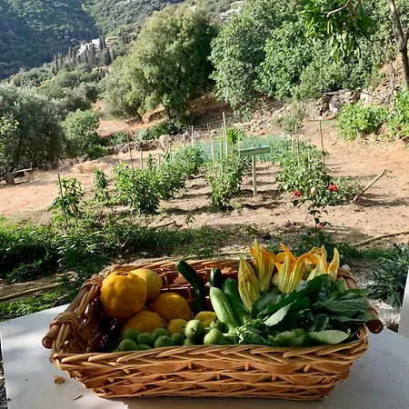 παραδοσιακός πέτρινος σε φάρμα