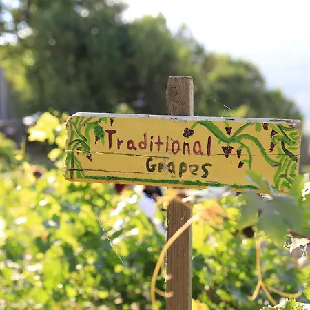 Παραδοσιακός Πέτρινος Ξενώνας Σε Φάρμα アパート