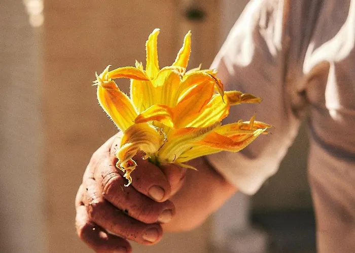 アパート Παραδοσιακός Πέτρινος Ξενώνας Σε Φάρμα