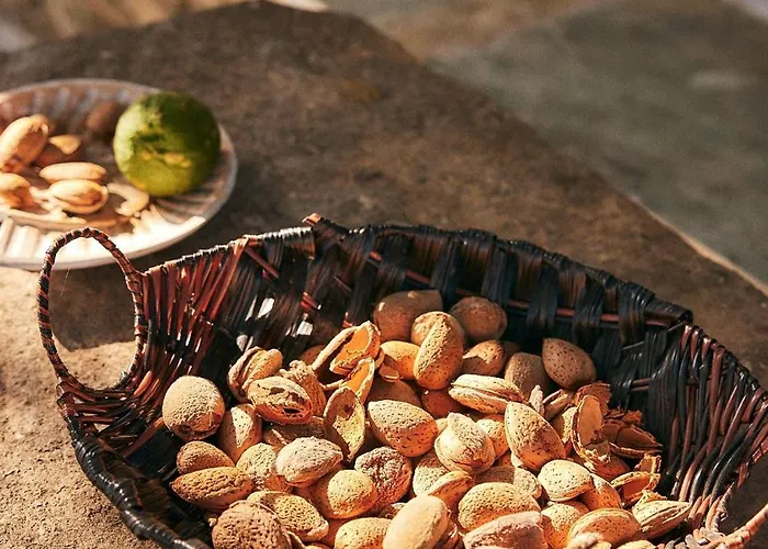 Παραδοσιακός Πέτρινος Ξενώνας Σε Φάρμα