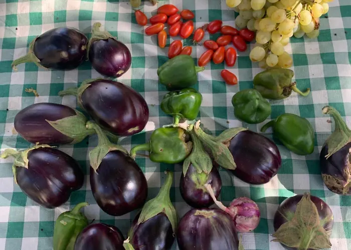 アパート Παραδοσιακός Πέτρινος Ξενώνας Σε Φάρμα *