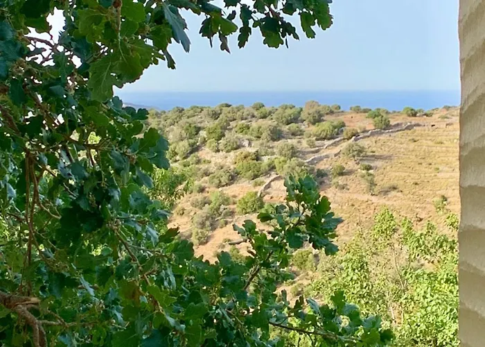 Παραδοσιακός Πέτρινος Ξενώνας Σε Φάρμα * Fallika