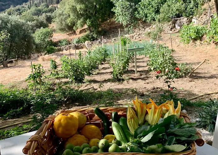 Παραδοσιακός Πέτρινος Ξενώνας Σε Φάρμα