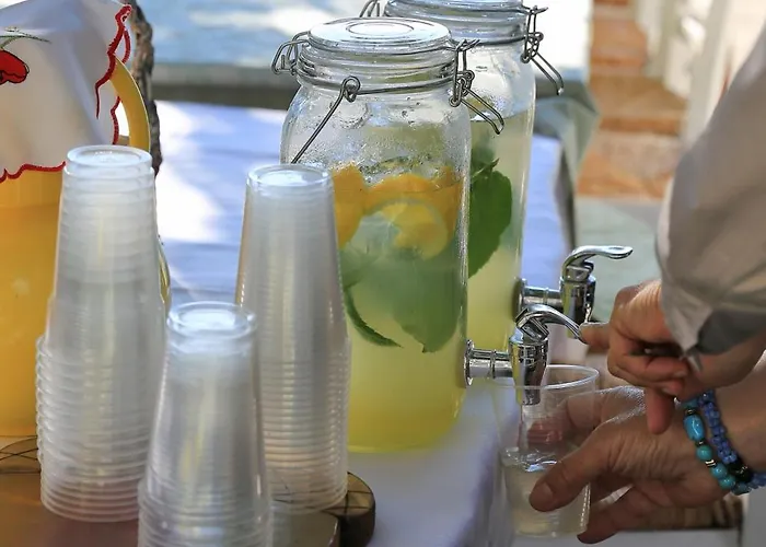 Παραδοσιακός Πέτρινος Ξενώνας Σε Φάρμα アパート