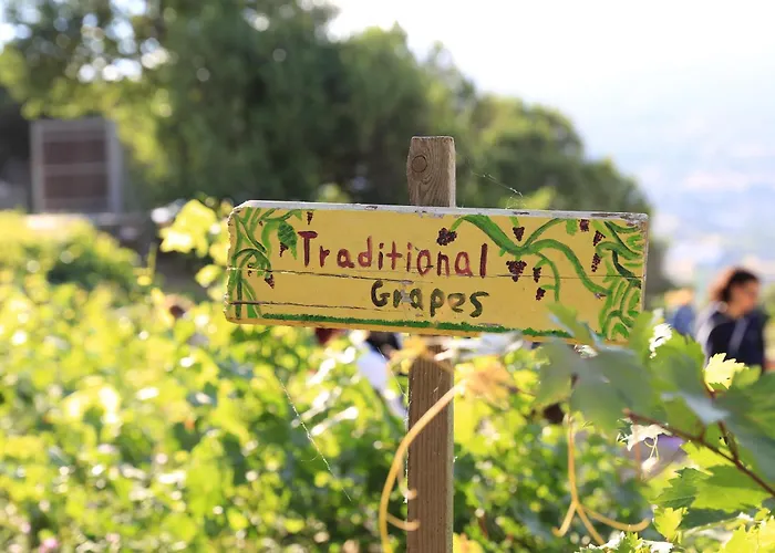 Παραδοσιακός Πέτρινος Ξενώνας Σε Φάρμα アパート